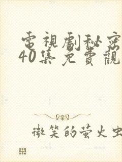 电视剧秘密关系40集免费观看