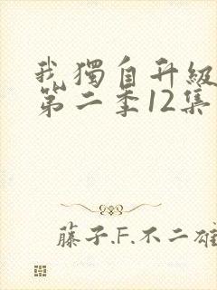 我独自升级动漫第二季12集