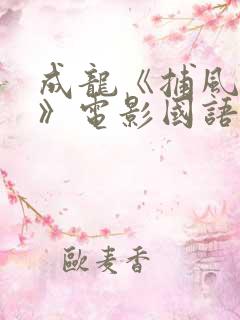 成龙《捕风追影》电影国语