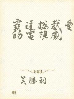 霸道总裁爱上我的电视剧