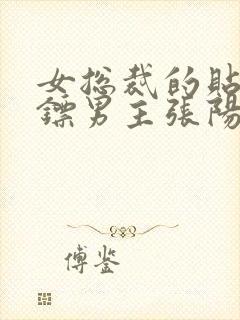 女总裁的贴身保镖男主张阳