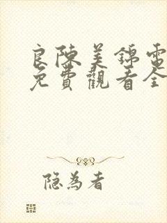 良陈美锦电视剧免费观看全集高清