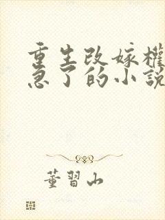 重生改嫁权臣他急了的小说