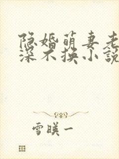 隐婚萌妻老公情深不换小说免费阅读