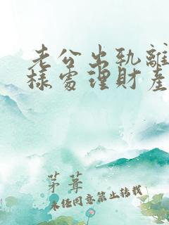 老公出轨离婚怎样处理财产