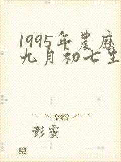 1995年农历九月初七生辰八字
