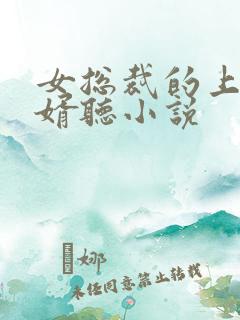 女总裁的上门女婿听小说