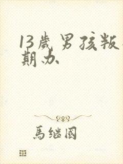 13岁男孩叛逆期办