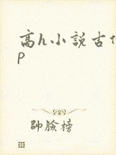 高h小说古代np