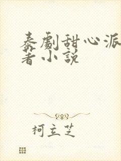 泰剧甜心派的原著小说