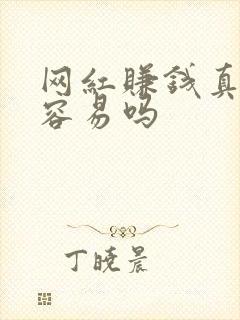 网红赚钱真的很容易吗