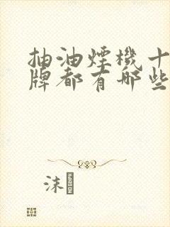 抽油烟机十大品牌都有哪些