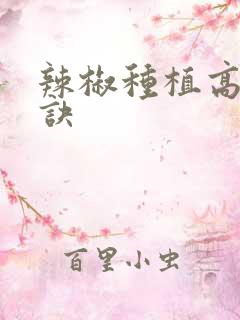 辣椒种植高产秘诀