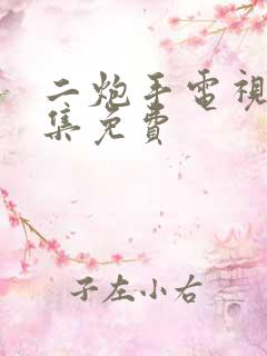 二炮手电视剧全集免费