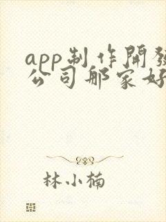 app制作开发公司那家好