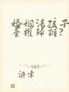 婚姻法孩子的抚养权归谁?