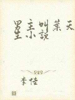 男主叫叶天的重生小说