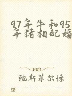 97年牛和95年猪相配婚姻如何
