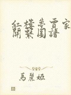 红楼梦贾家人物关系图谱