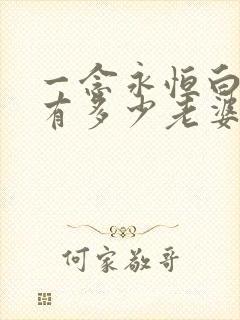 一念永恒白小纯有多少老婆