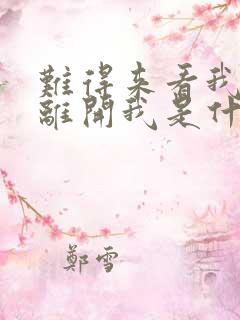 难得来看我却又离开我是什么歌