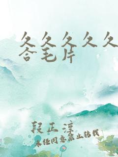久久久久久久综合毛片
