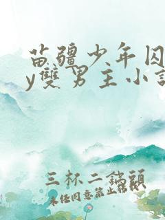 苗疆少年囚禁by双男主小说全篇