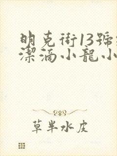 明克街13号纯洁滴小龙小说电子书