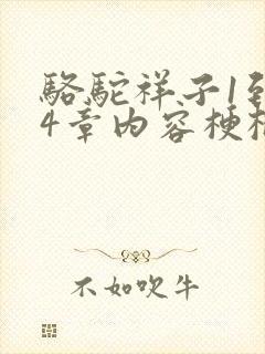骆驼祥子1到24章内容梗概