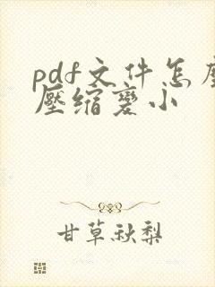 pdf文件怎么压缩变小