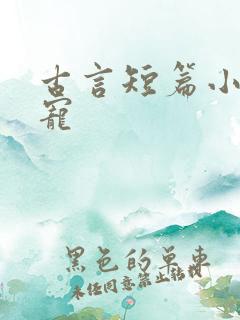 古言短篇小说甜宠
