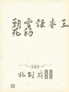 朝雪录睿王怎么死的