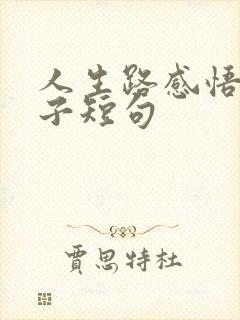 人生路感悟的句子短句