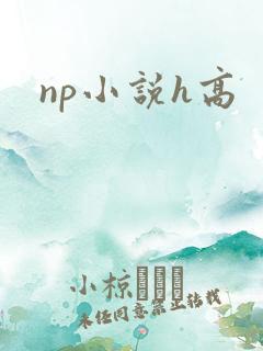 np小说h高