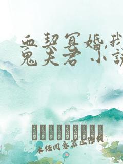 血契冥婚,我的鬼夫君 小说