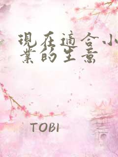 现在适合小本创业的生意