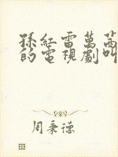 孙红雷万茜主演的电视剧叫什么