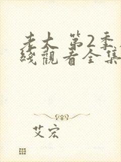 老大 第2季在线观看全集免费播放