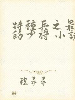特种兵之最年轻的少将 小说
