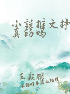 小说推文挣钱是真的吗