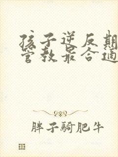 孩子逆反期怎么管教最合适男孩子