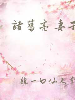诸葛亮 妻子