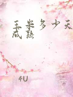 玉米多少天可以成熟