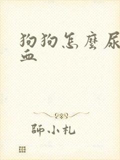 狗狗怎么尿里有血
