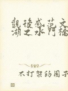 观后感范文长津湖之水门桥