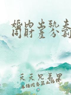 婚内出轨夫妻共同财产分割