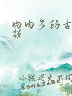 肉肉多的古代小说