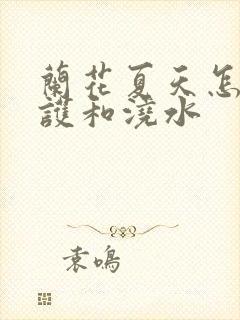 兰花夏天怎么养护和浇水