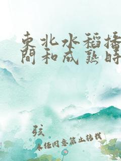 东北水稻播种时间和成熟时间