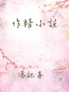 作精小说